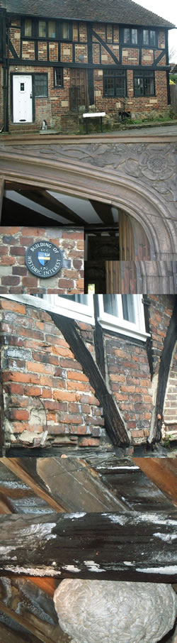 Features and defects in various historic buildings